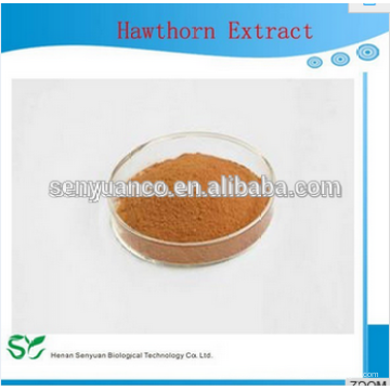 Hot Sale Hawthorn Berry Extract